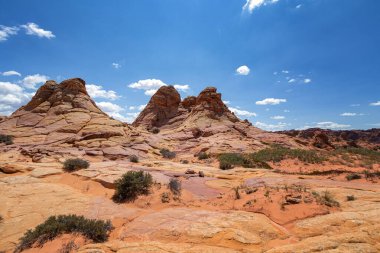 Coyote Buttes, Utah 'taki Kaya oluşumları