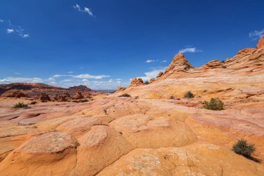 Coyote Buttes, Utah 'taki Kaya oluşumları