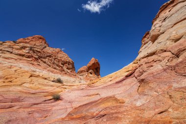 Coyote Buttes, Utah 'taki Kaya oluşumları