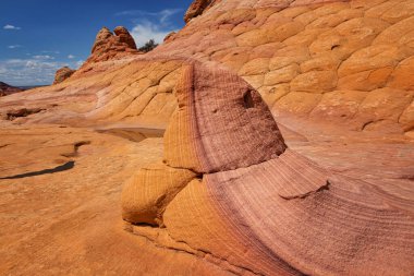 Coyote Buttes, Utah 'taki Kaya oluşumları