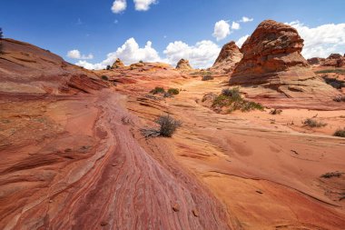 Coyote Buttes, Utah 'taki Kaya oluşumları