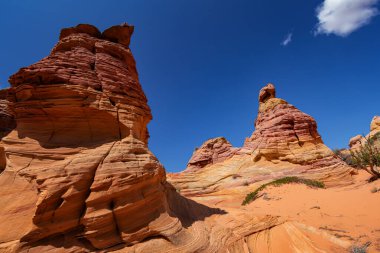 Coyote Buttes, Utah 'taki Kaya oluşumları