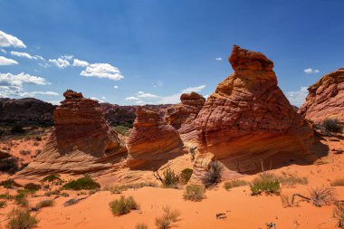 Coyote Buttes, Utah 'taki Kaya oluşumları