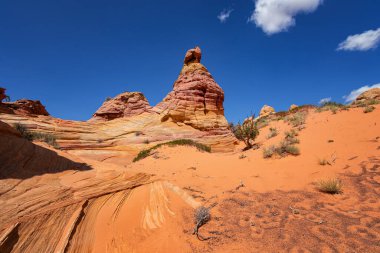 Coyote Buttes, Utah 'taki Kaya oluşumları