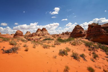Coyote Buttes, Utah 'taki Kaya oluşumları