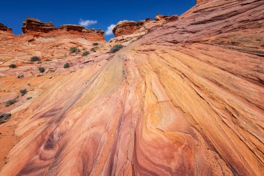 Coyote Buttes, Utah 'taki Kaya oluşumları