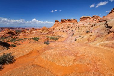 Coyote Buttes, Utah 'taki Kaya oluşumları