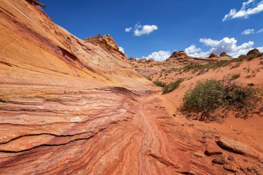 Coyote Buttes, Utah 'taki Kaya oluşumları