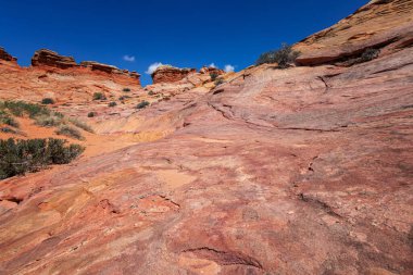 Coyote Buttes, Utah 'taki Kaya oluşumları