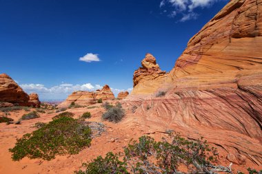 Coyote Buttes, Utah 'taki Kaya oluşumları