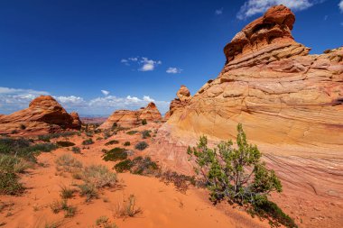 Coyote Buttes, Utah 'taki Kaya oluşumları