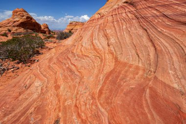 Coyote Buttes, Utah 'taki Kaya oluşumları