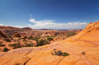 Coyote Buttes, Utah 'taki Kaya oluşumları
