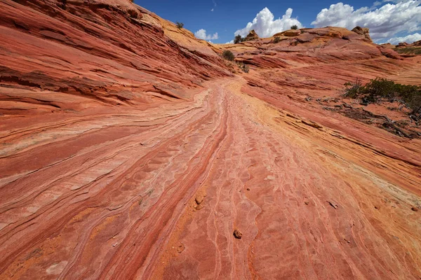 Coyote Buttes, Utah 'taki Kaya oluşumları