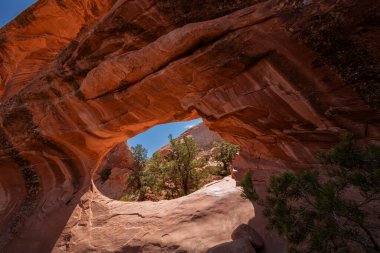 Arches Ulusal Parkı, Moab, Utah