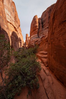 Arches Ulusal Parkı, Moab, Utah