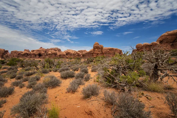 Park Narodowy Arches Moab Utah — Zdjęcie stockowe