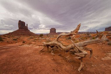 Anıt Vadisi Navajo Kabile Parkı