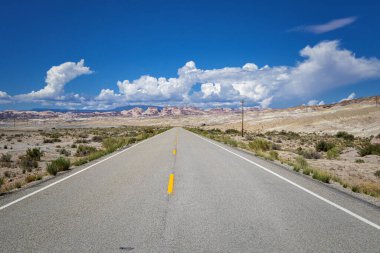 Dixie Ulusal Ormanı Utah
