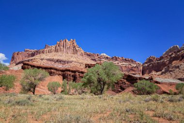 Capitol Resif Ulusal Parkı, Utah