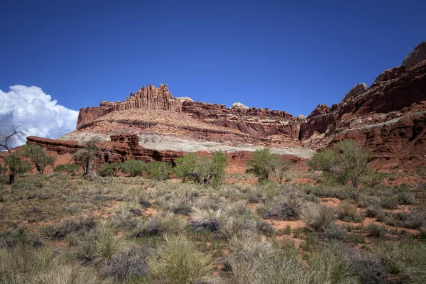 Park Narodowy Capitol Reef Utah — Zdjęcie stockowe