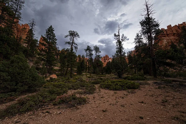 Parque Nacional Bryce Canyon Utah —  Fotos de Stock