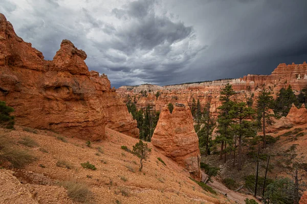 Parque Nacional Bryce Canyon Utah — Fotografia de Stock