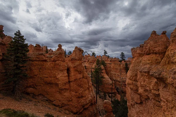 Parc National Bryce Canyon Utah — Photo