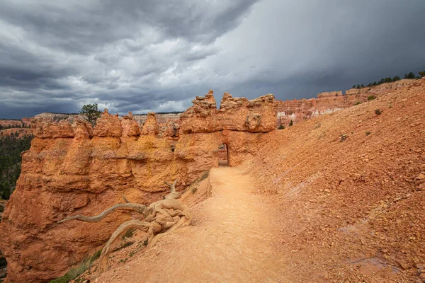 Parque Nacional Bryce Canyon Utah —  Fotos de Stock