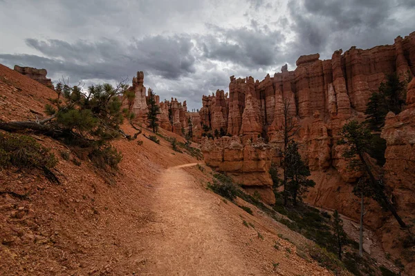 Parque Nacional Bryce Canyon Utah —  Fotos de Stock