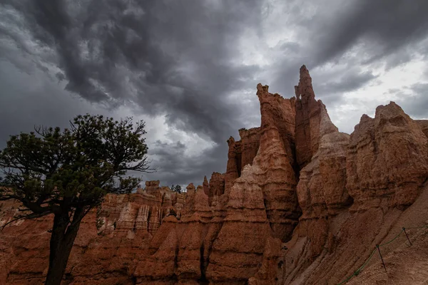 Národní Park Bryce Canyon Utah — Stock fotografie