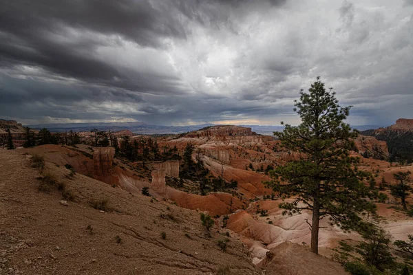 Parc National Bryce Canyon Utah — Photo