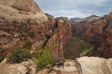 Utah 'taki Zion Ulusal Parkı