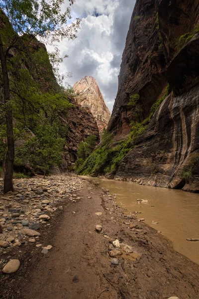 Narrows Zion National Park Utah — Fotografia de Stock