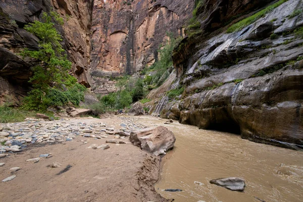 Narrows Parque Nacional Zion Utah —  Fotos de Stock