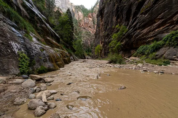 Narrows Zion National Park Utah — Fotografia de Stock