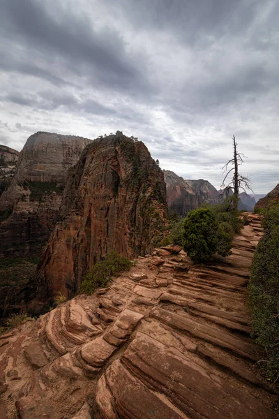 Angel Landing Parque Nacional Zion Utah — Fotografia de Stock