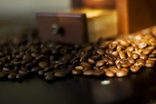 Coffee bean — Stock Photo, Image