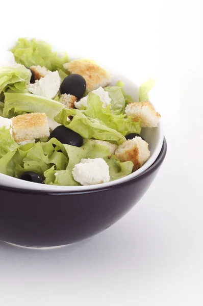 Salada com queijo — Fotografia de Stock