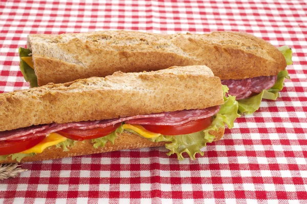 Heerlijke sandwich — Stockfoto