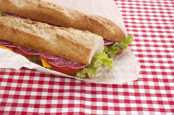 Delizioso sandwich — Foto Stock