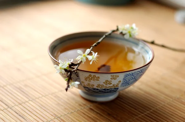 Tea and blossom plum — Stock Photo, Image