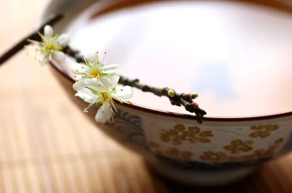 Tea and blossom plum — Stock Photo, Image