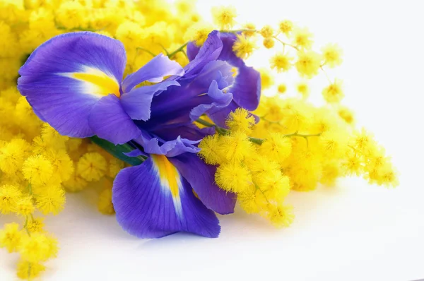 Beauty bouquet of flowers — Stock Photo, Image