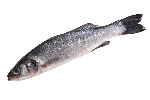 Raw seabass — Stock Photo, Image