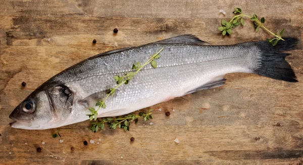 Färska seabss med timjan — Stockfoto