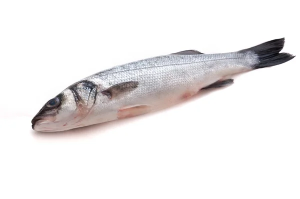 Raw seabass — Stock Photo, Image