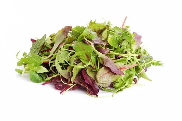 Karışık salata — Stok fotoğraf