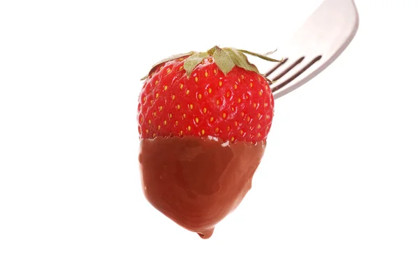 Fraise au chocolat — Photo