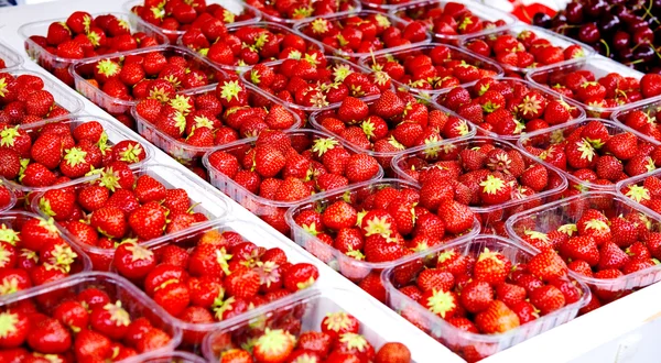 Pola z srtawberry — Zdjęcie stockowe